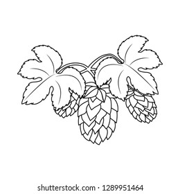 Vector illustration of pub and bar symbol. Set of pub and interior stock symbol for web.