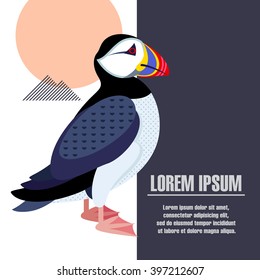 Vector illustration of a puffin. Template posters, placard, brochure, flyer, book page with a picture of a bird and space for text.