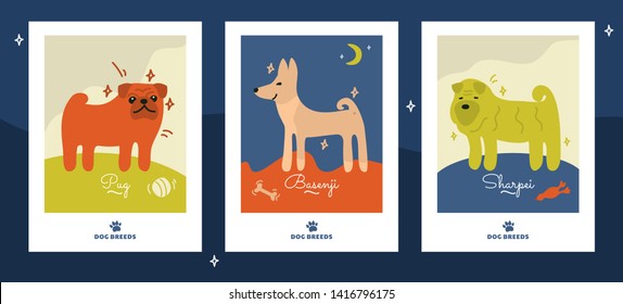 Vector illustration of pug, basenji, sharpei. Elements for design, logo pet shop, styling, washing, grooming salon, food for home animals. Posters with different dog breeds. Template for banner.