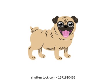 Vector illustration of a pug breed dog, cartoon style.
