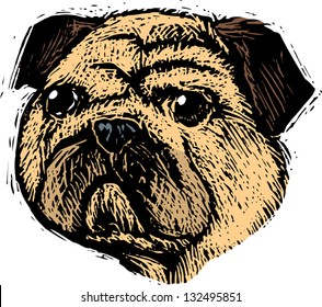 Vector illustration of pug dog