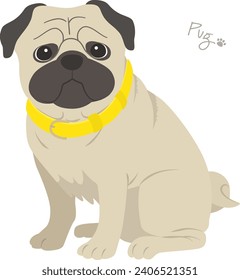 Vector illustration of pug dog