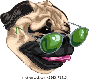 Vector illustration of pug dog head in glasses. Illustration of dog head in vector