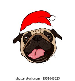 Vector illustration pug head with tongue in comic style with christmas hat on. On white background. Isolated.