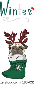 Vector illustration of a pug in a Santa hat and in a New Year's stocking with snowflake. Festive illustration for printing on clothes, prints, postcards, wrapping paper