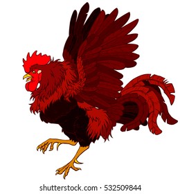 Vector illustration. A pugnacius red black rooster on a white background. Fiery chicken a symbol of the Chinese new year 2017 according to east calendar.