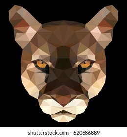 Vector illustration of puma's face consisting of triangles. Polygonal style