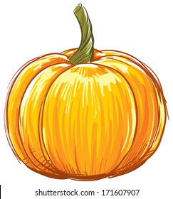 Vector illustration of a pumpkin.