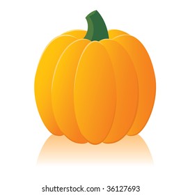 Vector illustration of the Pumpkin
