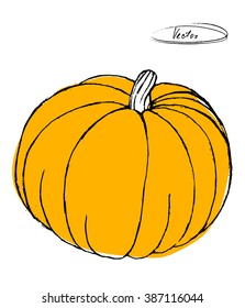 vector illustration of pumpkin