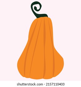 Vector illustration of a pumpkin. Autumn time. Halloween. Harvest