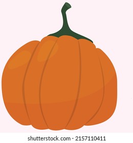 Vector illustration of a pumpkin. Autumn time. Halloween. Harvest