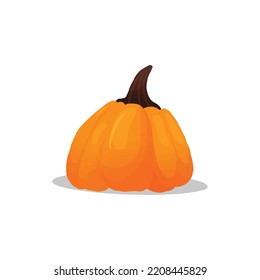 Vector Illustration Pumpkin Colorful Style