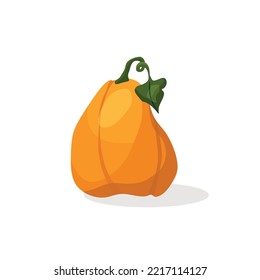 Vector illustration of a pumpkin. The concept of organic nutrition.