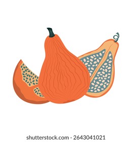 Vector illustration. Pumpkin design element, autumn pumpkins, banner, sticker. Halloween, autumn.
