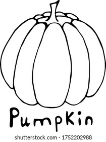 Vector illustration of a pumpkin in the Doodle style, hand-drawn black outline on a white background with the text "Pumpkin". Can be used for paper, textiles, fabrics, books, paper Wallpaper