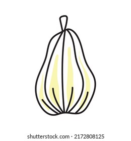 vector illustration of pumpkin in doodle style