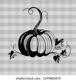 vector illustration of pumpkin drawn with ink style isolated on transparent background with pumpkin leaves