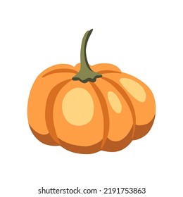 Vektorgrafik eines Kürbis. Herbst dekorative Objekte. Orange, grün. Warme Bindehaut-Ästhetik. Flacher Cartoon handgezeichnet