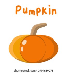 vector illustration of a pumpkin. fruit cartoon in simple and flat style. waluh illustration with cute cartoon style, suitable for educating children about fruit introduction, for cover, etc