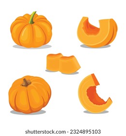 Vector illustration of pumpkin fruit flat icons cartoon style. Sign kit of halloween. Thanksgiving pictogram collection farm harvest, closeup squash, vegetable. Simple yellow pumpkin autumn fruit logo - Shutterstock ID 2324895103