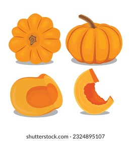 Vector illustration of pumpkin fruit flat icons cartoon style. Sign kit of halloween. Thanksgiving pictogram collection farm harvest, closeup squash, vegetable. Simple yellow pumpkin autumn fruit logo