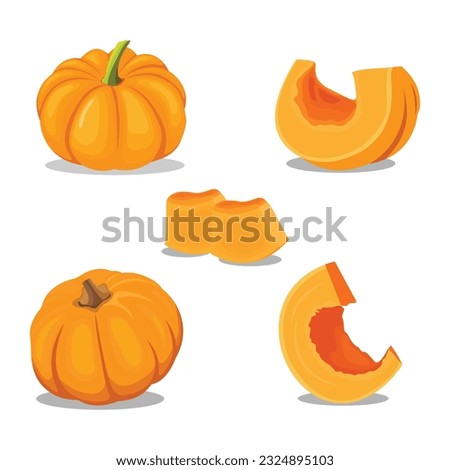 Vector illustration of pumpkin fruit flat icons cartoon style. Sign kit of halloween. Thanksgiving pictogram collection farm harvest, closeup squash, vegetable. Simple yellow pumpkin autumn fruit logo