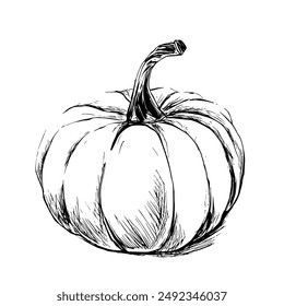 Vector Illustration of a Pumpkin, Hand-Drawn