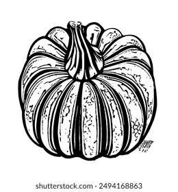 Vector Illustration of a Pumpkin, Hand-Drawn