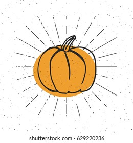 Vector illustration of pumpkin. Happy Halloween concept. Pumpkin ale