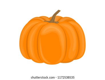 Vector illustration. Pumpkin isolated on white background.