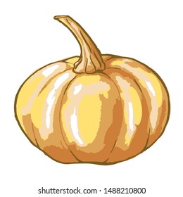 Vector illustration pumpkin isolated on white background, hand-drawn crop symbol