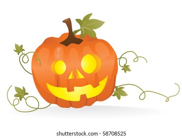 Vector illustration of pumpkin isolated on white background