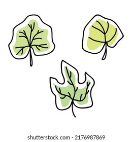 Vector illustration of pumpkin leaves in doodle style