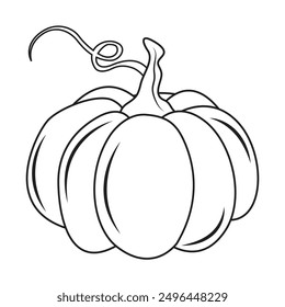 Vector illustration of pumpkin line art hand drawn. Drawing pumpkin coloring image for children education. Halloween pumpkin. Trick or treat coloring outline. Autumn element design decoration