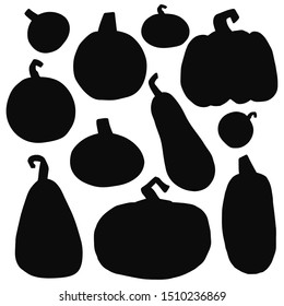 Vector illustration with a pumpkin on a white background. Vector silhouette of a pumpkin.