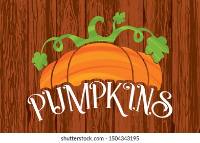 vector illustration of pumpkin on wooden background. Pumpkin sign