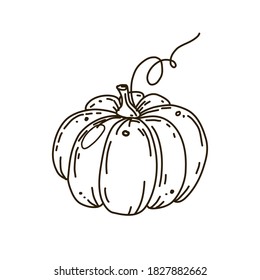 Ilustración vectorial del contorno de calabaza Icono de garabato aislado en fondo blanco.