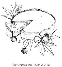 Vector illustration. Pumpkin pie with chestnuts, maple leaves drawn in vector in black on a white background. Suitable for printing on fabric, paper, kitchen, decoration and creativity.