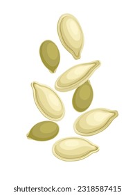 Vector illustration, pumpkin seeds, isolated on white background.