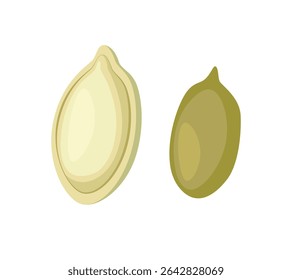 Vector illustration, pumpkin seeds, isolated on white background. Nuts seeds icon concept. Graphic element for website. Healthy eating. Flat vector illustration isolated on white background