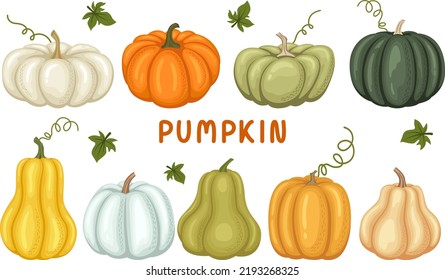 Vector illustration of a pumpkin set of yellow, green, orange, white, blue and pink pumpkins on a white background in a flat style.