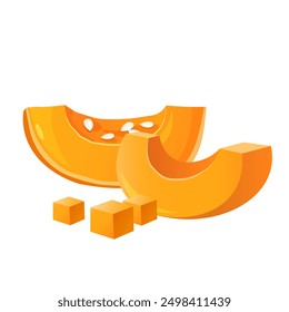 Ilustración vectorial de rodajas de calabaza y cubos con semillas aisladas sobre fondo blanco	