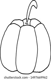Vector illustration of a pumpkin. Suitable for all types of design.