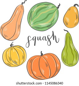 Vector illustration with pumpkins.