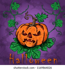 vector illustration of pumpkins Express emotions on the holiday of October Halloween, happiness event, party, design concept background isolated