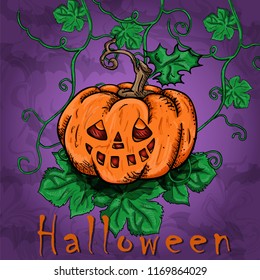 vector illustration of pumpkins Express emotions on the holiday of October Halloween, happiness event, party, design concept background isolated