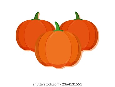 Vector illustration of pumpkins fresh vegetable. Delicious healthy food