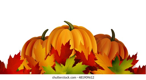 The vector illustration of pumpkins isolated