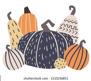 Vector illustration with pumpkins on a white background. Vector illustration of an autumn harvest.